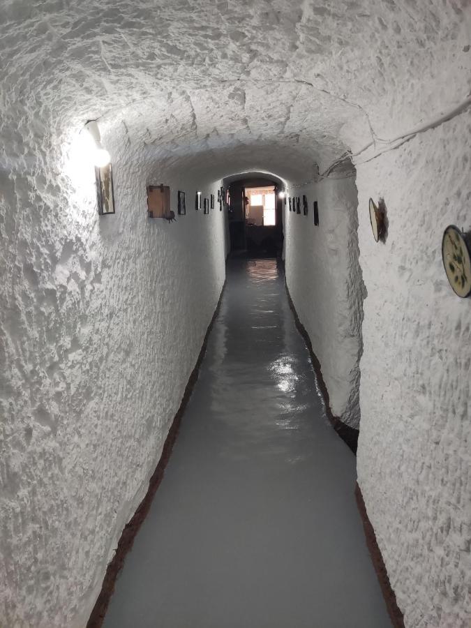 Cueva Navarro Gorafe Eksteriør billede